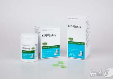 디카맥스디정 vs 디카맥스디플러스정 vs 디카맥스