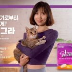 알레그라정 120mg 효과와 3세대 항히스타민제