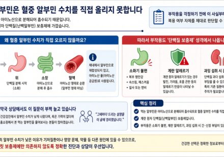 먹는 알부민, 과연 효과가 있을까