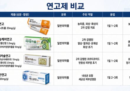 상처 위의 두 갈래 길: 후시딘연고와 마데카솔, 언제 무엇을 발라야 할까