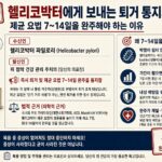 헬리코박터에게 보내는 퇴거 통지서: 제균 요법 7~14일을 완주해야 하는 이유
